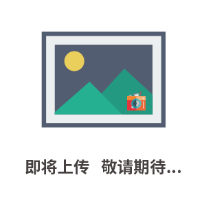 衛(wèi)生級(jí)法蘭對(duì)夾式止回閥